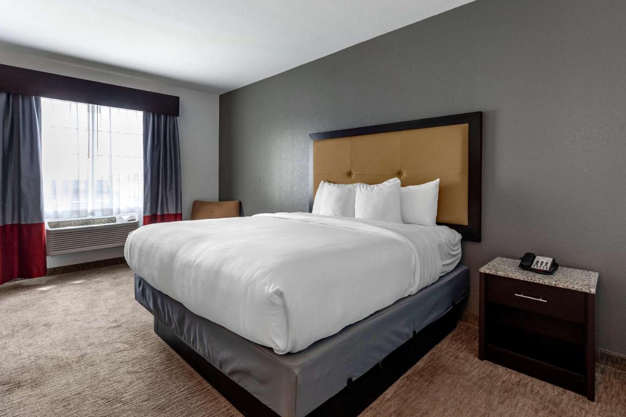Comfort Inn & Suites Gatesville Near Fort Cavazos Buitenkant foto